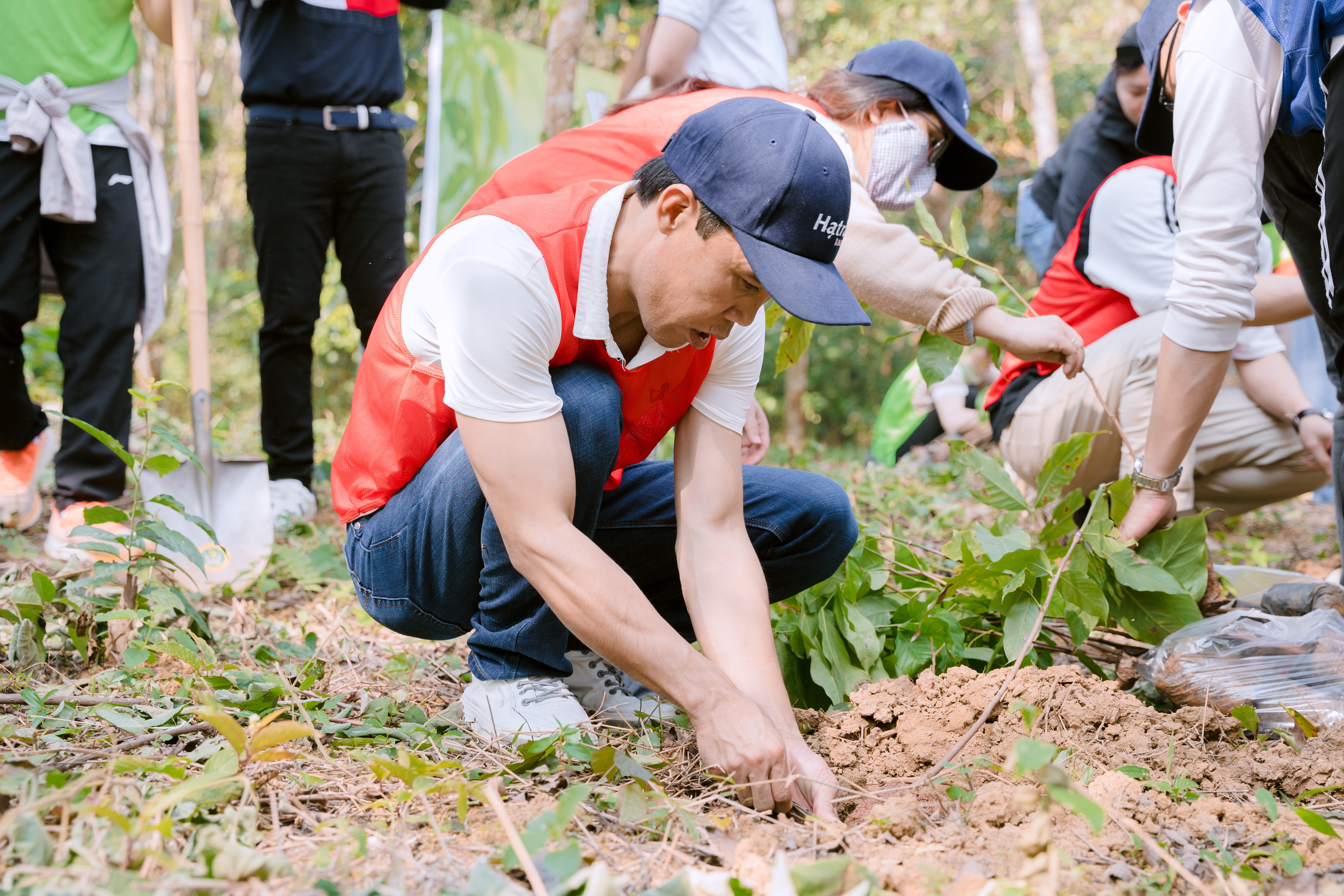 Hoạt động trồng cây gần đây của Vilai Việt đã cho chúng ta thấy rằng: Đa dạng thì Bền vững.