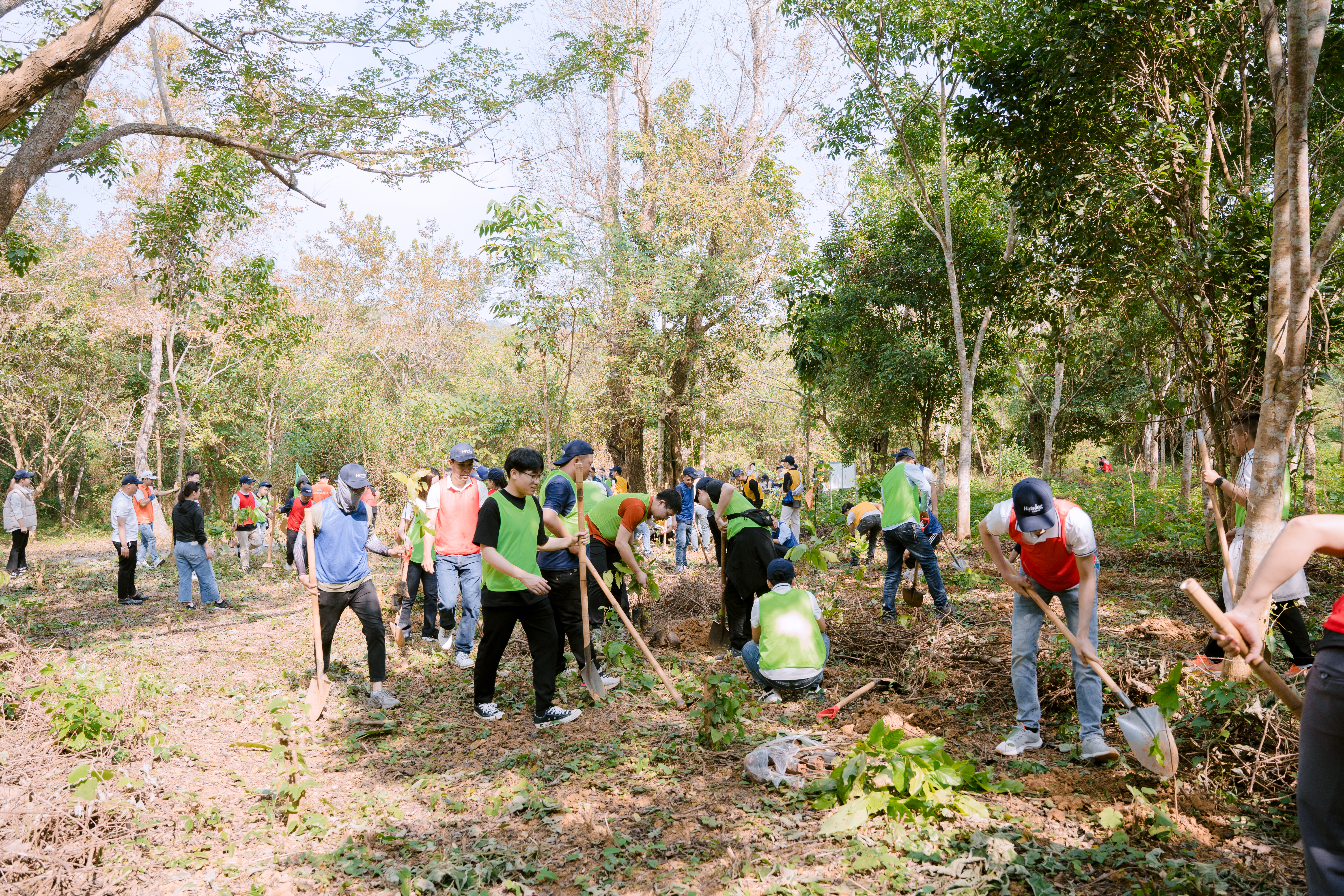 Vilai Viet planted almost 100 trees at Cuc Phuong National Forest