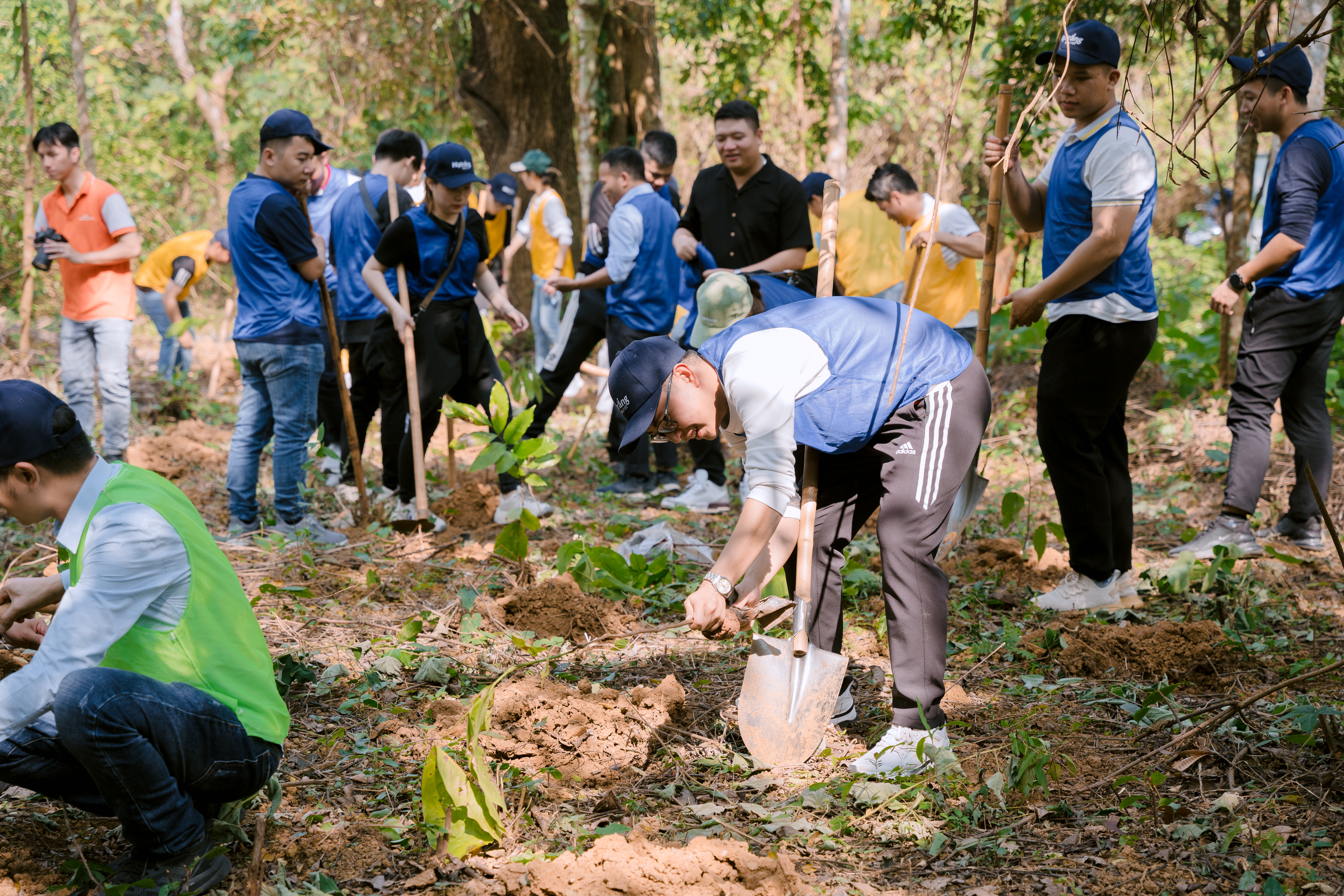 These trees at Cuc Phuong will be taken care of.